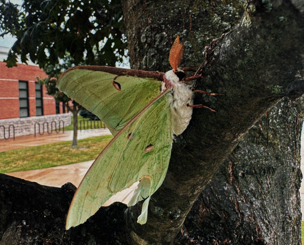 Forcing Myself to Feel My&nbsp;Triggers